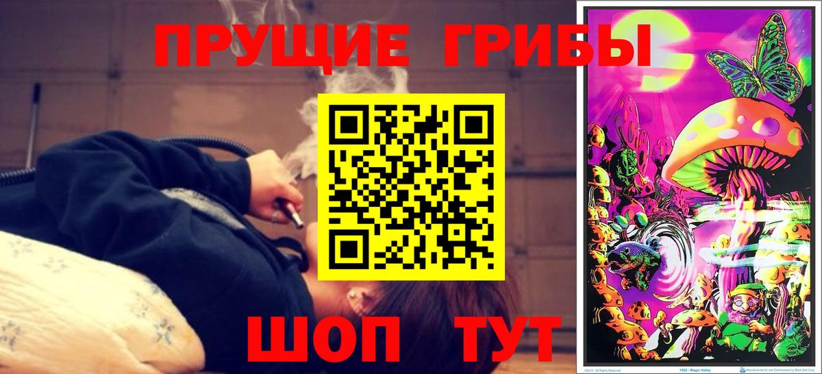 Галлюциногенные грибы мухоморы Черногорск